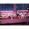 ⁦תאורת סולארית ספקטרום UV לגידול צמחים 100W SMD FSO גוף אלומיניום⁩ – תמונה ⁦3⁩
