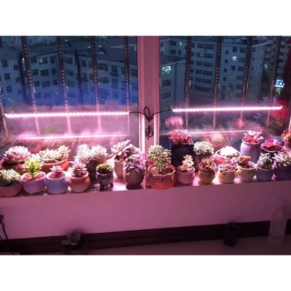 ⁦תאורת סולארית ספקטרום UV לגידול צמחים 100W SMD FSO גוף אלומיניום⁩ – תמונה ⁦3⁩
