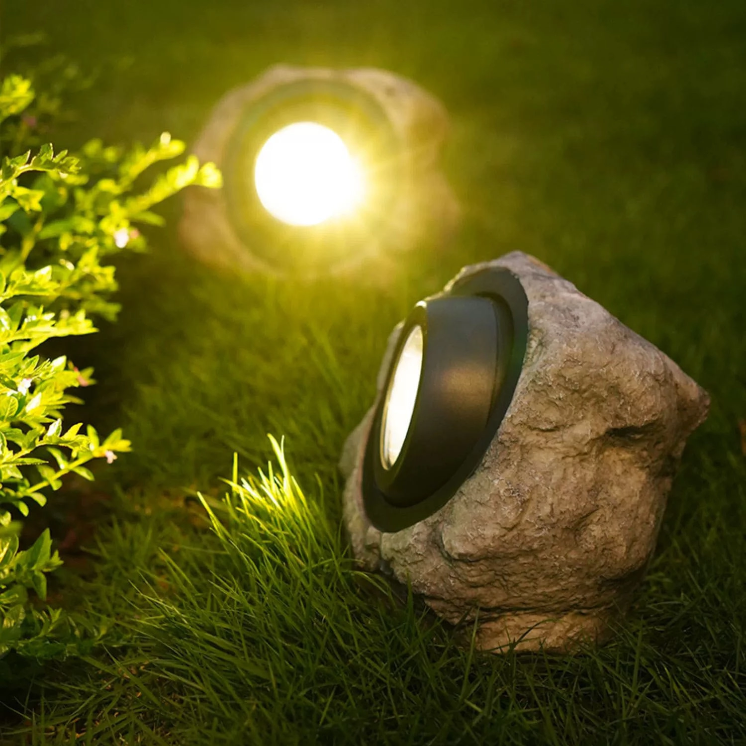 מאפיינים עיקריים